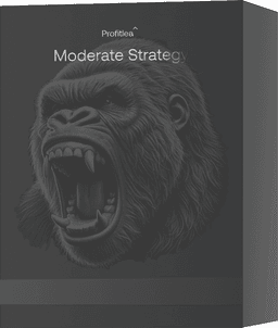 Moderate Strategy Strategy